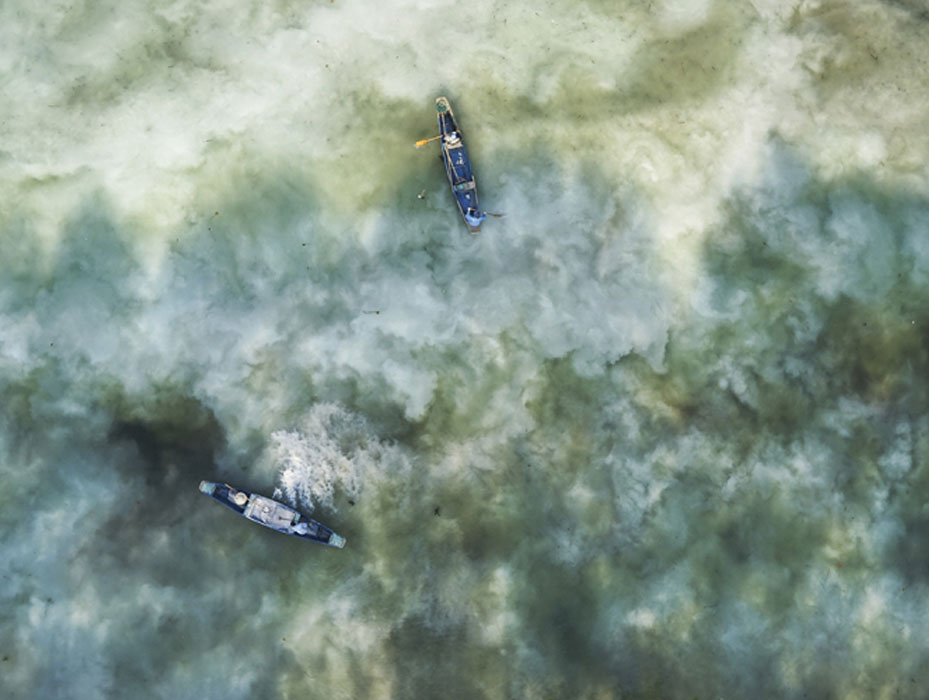 水產(chǎn)養(yǎng)殖常用的清塘方法，你用過(guò)哪種？